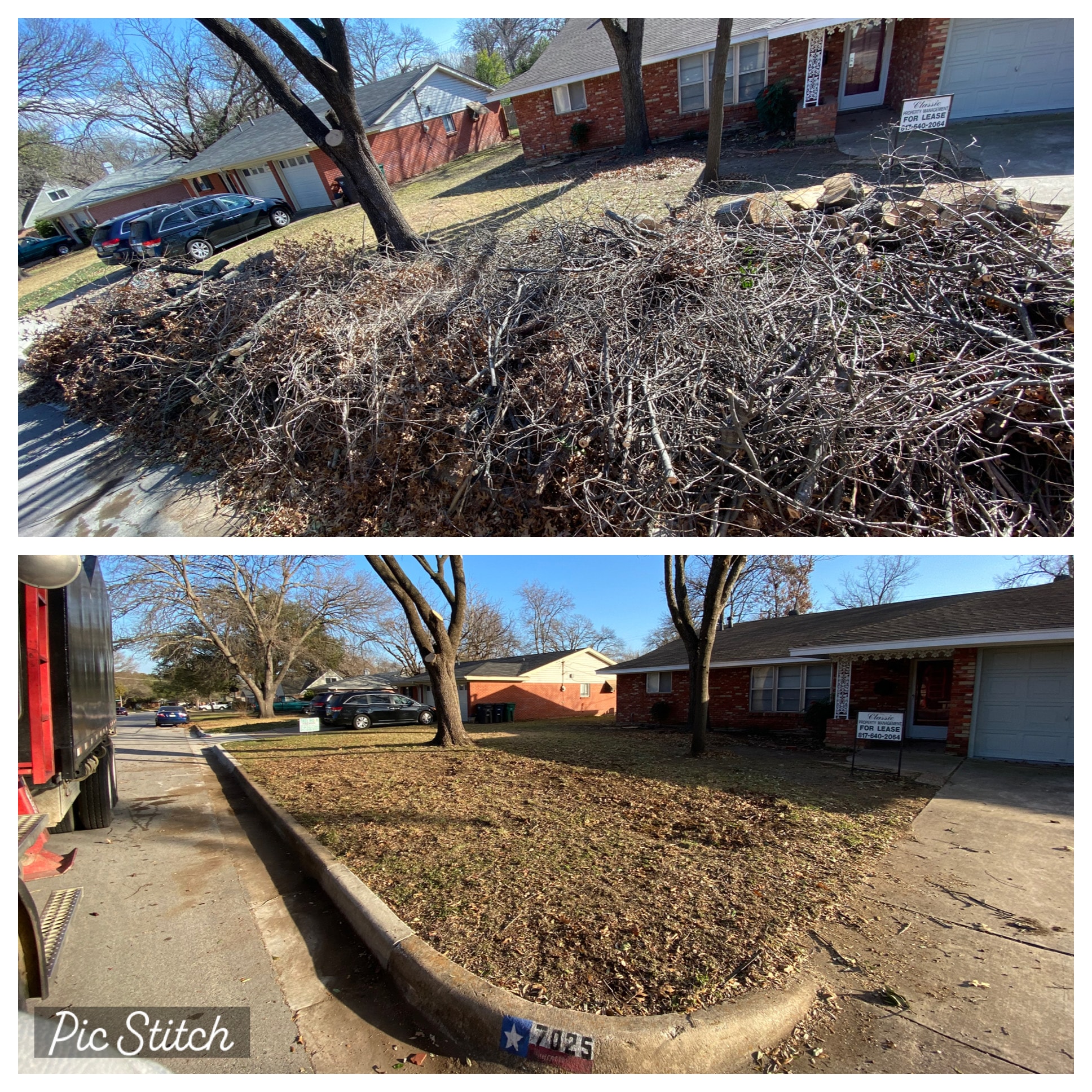 1st Quality Clean Up yard debris removal
