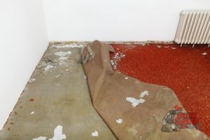Carpet Removal Service